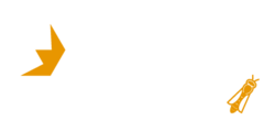 l'ANERCEA